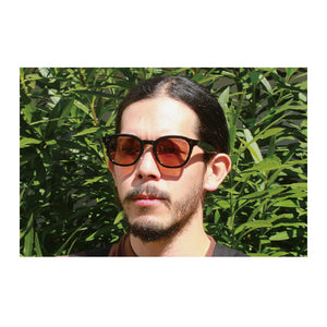 Willy_Sunglasses
