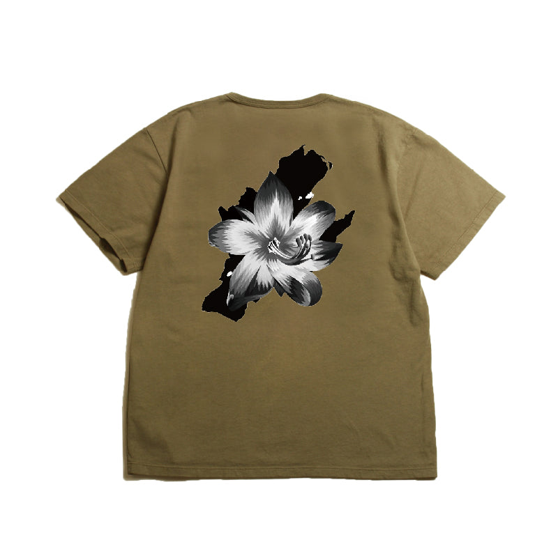 Holhy_USA Made Print T-Shirt